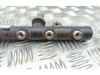 Топливная рампа 9681649580 Citroen C4 I Picasso для двигателя RHJ (DW10BTED4)