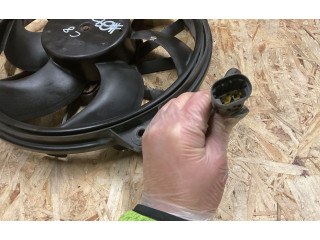 Вентилятор радиатора 1494742080, 1250G5 Citroen C8