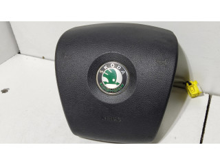 Подушка безопасности водителя 1Z0880201N Skoda Octavia Mk2 (1Z)