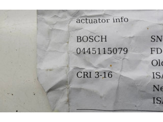 Vstřikovač 0445115079, CRT316 Audi A6 Allroad C6 ASB