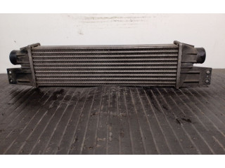 Интеркулер Y2202371008050, 2371008051 SsangYong Rexton