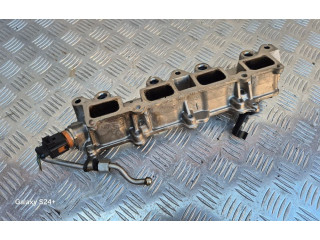 Топливная рампа GK284AHB, 0261545051   Volkswagen Golf Plus  