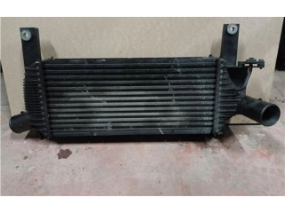 Интеркулер Nissan Pathfinder R51