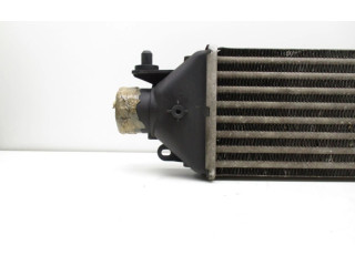 Интеркулер     Fiat Punto (199) 