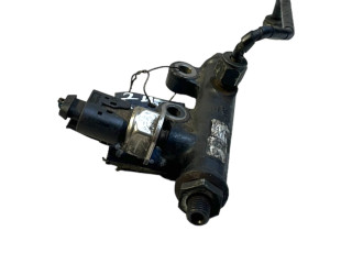 Vstřikovací lišta 4R8Q9C066AC, A2C20001297 Peugeot 607