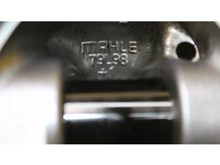 Поршень Skoda Fabia Mk2 (5J)