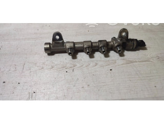 Топливная рампа 55234039, 0445214254   Jeep Cherokee  