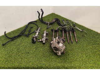 Комплект системы впрыска топлива 059130755BG, 03120813    Audi A6 S6 C7 4G  cla 