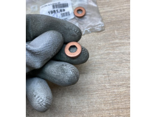 Форсунка 198169, 4Pcs    Citroen C1   