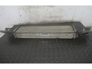 Интеркулер 0051785221 Fiat Linea