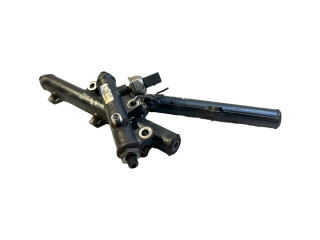 Топливная рампа 4R8Q9D280AC, Y2Y00715 Jaguar S-Type 2.7