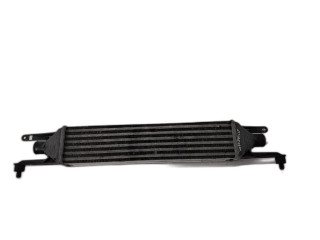 Интеркулер 55700449, 199A3000 Fiat Grande Punto