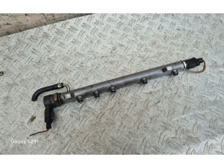 Топливная рампа A6400702595, A6110780449 Mercedes-Benz A W169