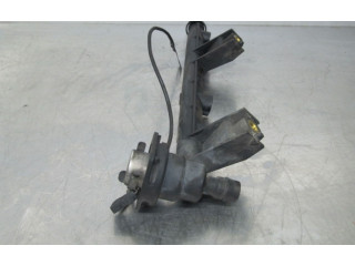 Vstřikovací lišta    Renault Kangoo I     