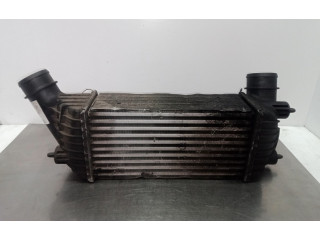 Интеркулер     Fiat Ulysse 