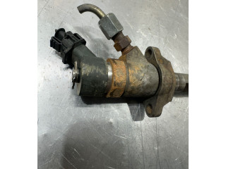 Форсунка 0445110239 Citroen Berlingo