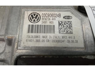 Блок управления двигателя 03C906024B, 03C906024F   Skoda Fabia Mk2 (5J)