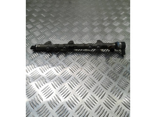 Топливная рампа 314002F600, 018929   KIA Sportage  