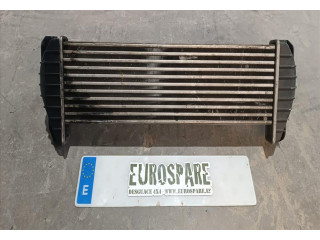 Интеркулер 622704 SsangYong Actyon sports I