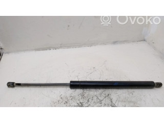 Амортизатор задней крышки