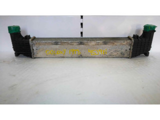 Интеркулер     Ford Galaxy 1.9