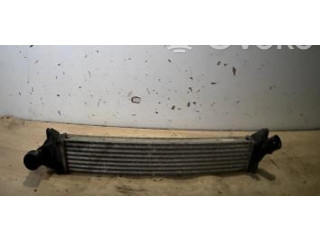 Интеркулер 8200409045, 8200409045 Dacia Logan I