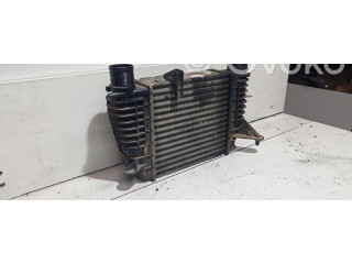 Интеркулер     Renault Clio III 