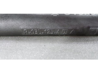 Топливная рампа 03L130089B, 03L906051 Volkswagen Golf VI