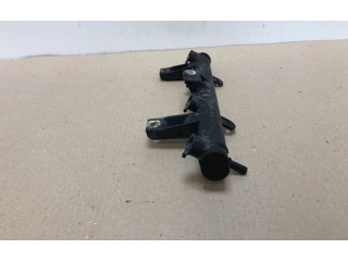 Vstřikovací lišta 9628982980, 9628982980 Citroen C2 TU3JP(KFV)