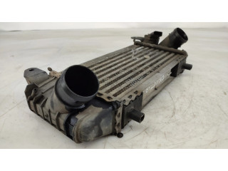 Интеркулер 8Z0145804A Audi A2 1.4