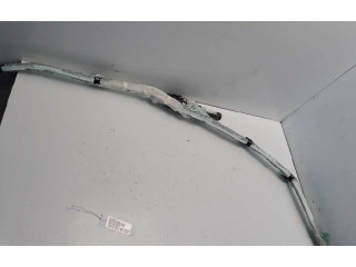 Подушка безопасности двери 3C0880742F   Volkswagen Passat Alltrack