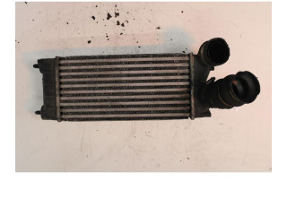 Интеркулер     Citroen Berlingo 1.6