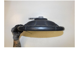 Руль Dacia Lodgy - года 307573399002-AB