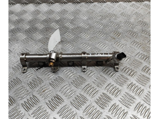 Vstřikovací lišta 06M133316L, 06M133316L   Porsche Cayenne (9Y0 9Y3)    DCBE 