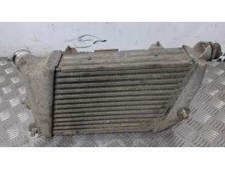 Интеркулер     Audi A8 S8 D3 4E 3.0