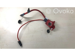 Плюсовый провод (аккумулятора)