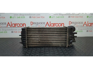 Интеркулер  0384G5, E256083   Peugeot Partner 