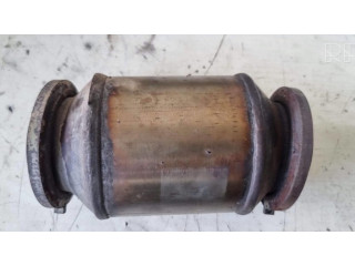 Катализатор / FAP/DPF фильтр твердых частиц