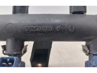Топливная рампа 9625194080D Citroen Xsara Picasso