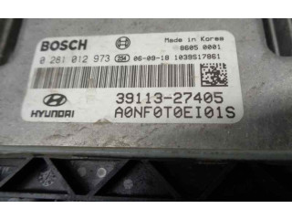Блок управления двигателя 3911327405, 0281012973 Hyundai Sonata
