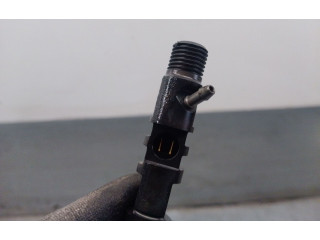 Форсунка A6650170121, A6650170121    SsangYong Rexton  D27DT 