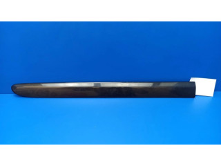 Задняя отделка дверей (молдинги)