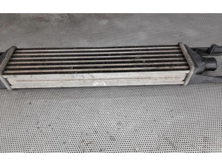 Интеркулер     Fiat Punto Evo 