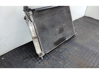 Комплект радиатора    Renault  Clio III  2005 - 2012 года