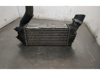Интеркулер 965652880 Citroen C4 I