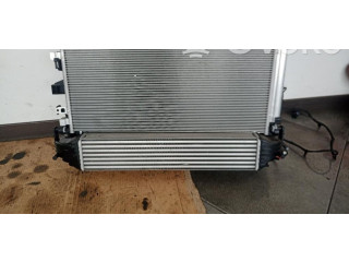 Интеркулер Jeep Compass