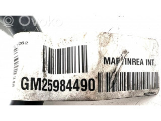 Трубка (трубки)/ шланг (шланги)