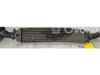 Интеркулер     Fiat Bravo - Brava 