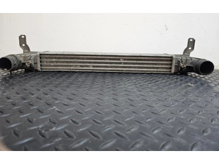 Интеркулер Seat Alhambra (Mk1)