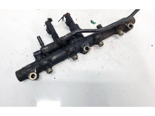 Топливная рампа 0445214017 Lancia Phedra